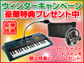 KORG microSAMPLER�ʿ��ʡˡ�����̵����