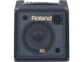 Roland KC-110�ʿ��ʡˡ�����̵����
